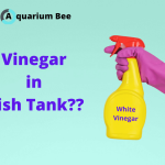 Can Vinegar Be Used in an Aquarium