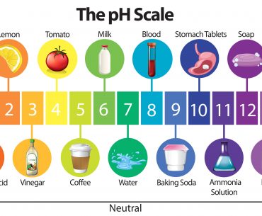 What Causes High pH in Aquarium