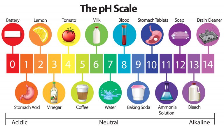 what-causes-high-ph-in-aquarium-with-solutions-aquarium-bee