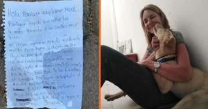 Read more about the article A lonely puppy was found with a sad note.