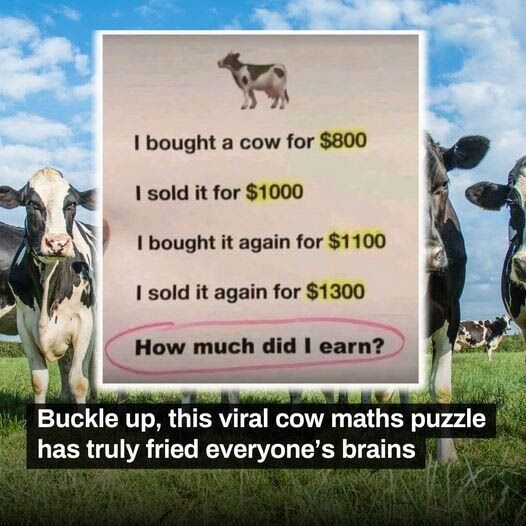 Read more about the article The Cow Math Puzzle