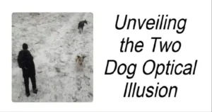 Read more about the article Two Dog Optical illusion