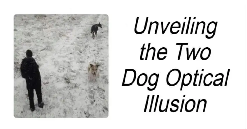 You are currently viewing Two Dog Optical illusion