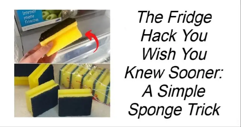 Read more about the article A Simple Sponge Trick For The Fridge