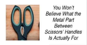 Read more about the article Metal Part Between Scissors