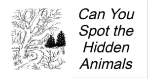 Read more about the article Can You Spot the Hidden Animals