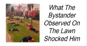 Read more about the article What The Bystander Observed On The Lawn Shocked Him