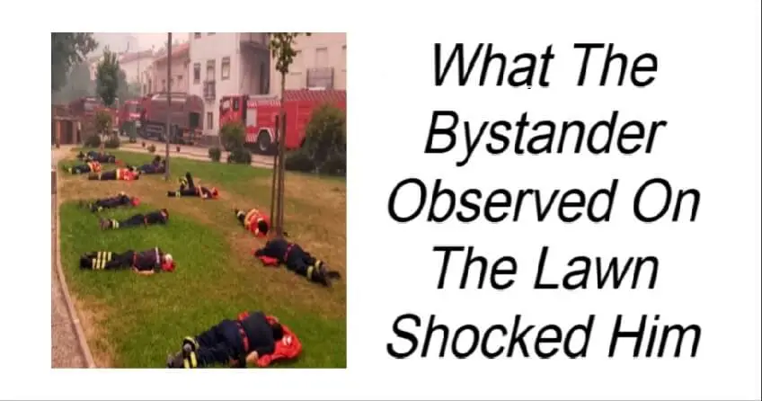 You are currently viewing What The Bystander Observed On The Lawn Shocked Him