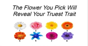 Read more about the article The Flower You Pick Will Reveal Your Truest Trait