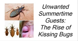 Read more about the article Unwanted Summertime Guests: The Rise of Kissing Bugs