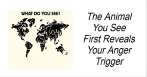 Read more about the article What the First Animal You See Reveals About Your Anger Triggers