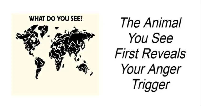 You are currently viewing What the First Animal You See Reveals About Your Anger Triggers