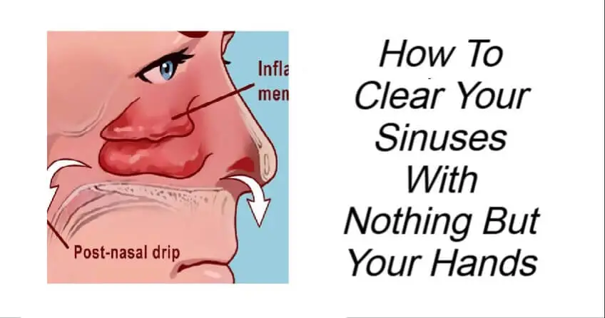 You are currently viewing How to Clear Your Sinuses Using Only Your Hands – Natural and Effective Techniques