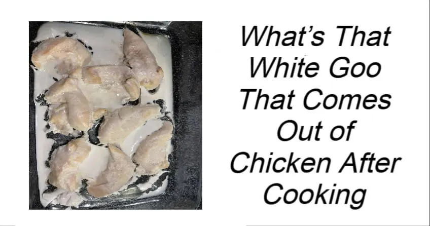 You are currently viewing What’s That White Goo That Comes Out of Chicken After Cooking?