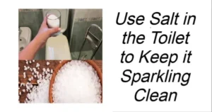 Read more about the article Use Salt in the Toilet to Keep It Sparkling Clean: A Natural and Budget-Friendly Solution