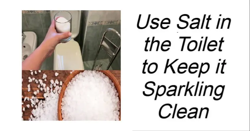 You are currently viewing Use Salt in the Toilet to Keep It Sparkling Clean: A Natural and Budget-Friendly Solution