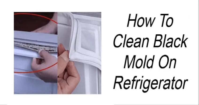 You are currently viewing How to Clean Black Mold on a Refrigerator: A Complete Guide