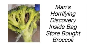 Read more about the article Man’s Horrifying Discovery Inside Store-Bought Broccoli