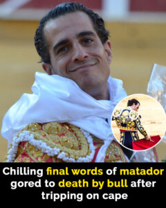 Read more about the article Bullfighter’s Chilling Final Words Before His Death: Iván Fandiño’s Tragic End