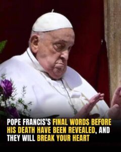 Read more about the article Pope Francis’ Final Words and Legacy: Remembering the 88-Year-Old Pontiff