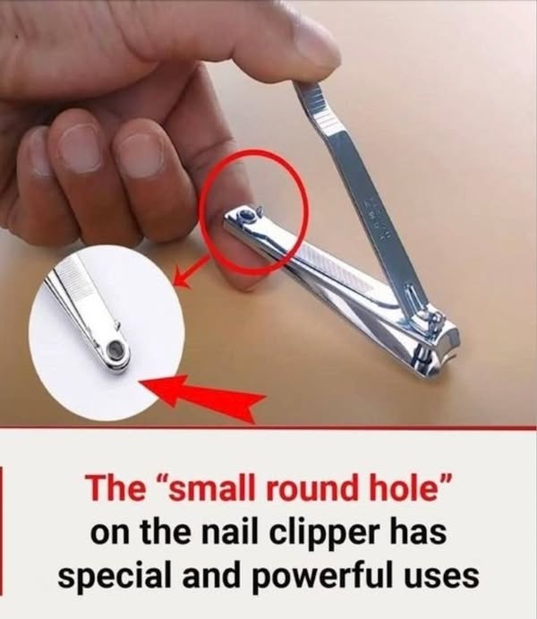 Read more about the article The Smart Use of Small Holes in Nail Clippers: Why They’re More Than Just a Design Feature