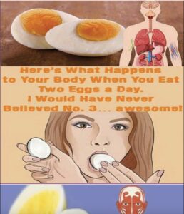 Read more about the article What Happens If You Eat Two Eggs a Day: Health Benefits You Should Know