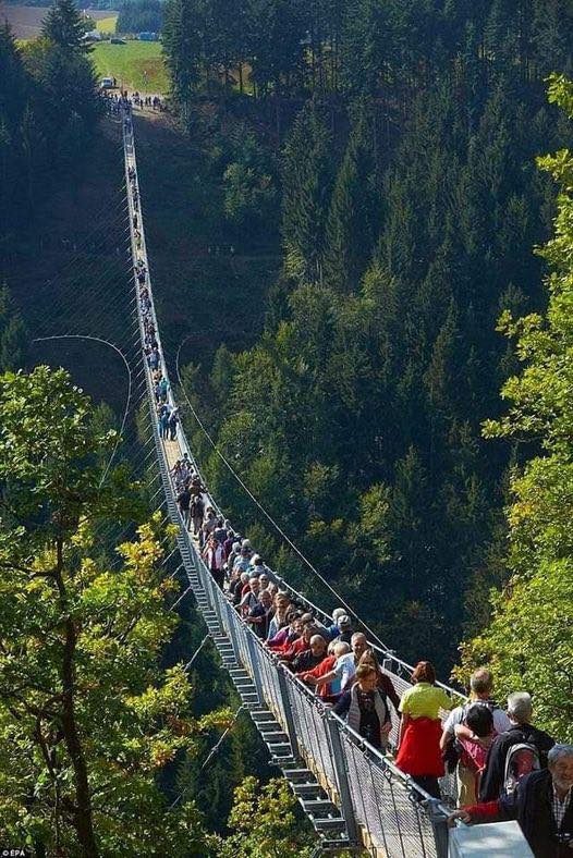 Read more about the article 15 Scariest Bridges in the World: Exploring the Most Thrilling and Terrifying Crossings