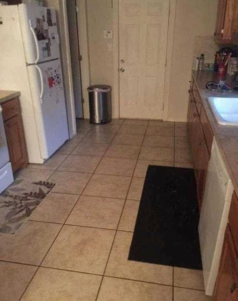 You are currently viewing How This Image Tricks Your Brain Like Software: Can You Spot the Hidden Dog?