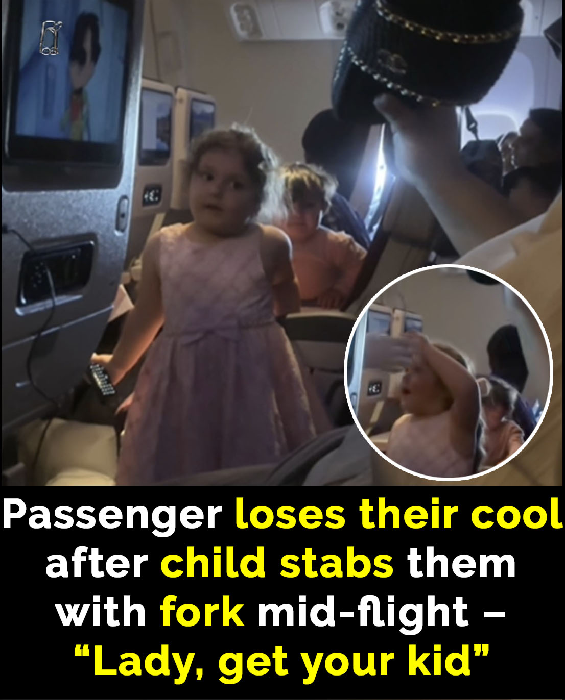 Read more about the article Passenger Loses Control After Child Stabs Her with Fork on Flight: A Terrifying Incident