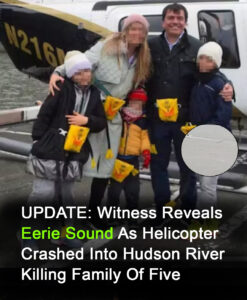 Read more about the article Helicopter Tragedy: Family of Five Dies After Crash into Hudson River