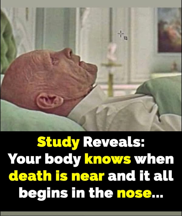 Read more about the article How the Nose Detects Death: A Scientific Insight into the Body’s Subconscious Treatment Response