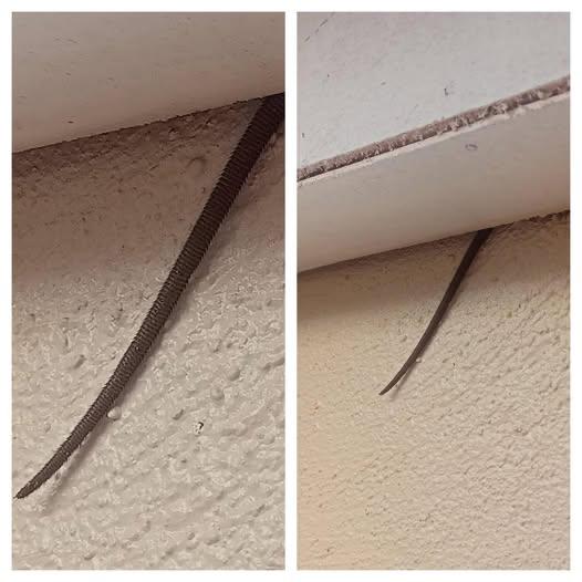 You are currently viewing Creepy Object Hanging from Ceiling Sends Reddit into a Frenzy – What Was It?