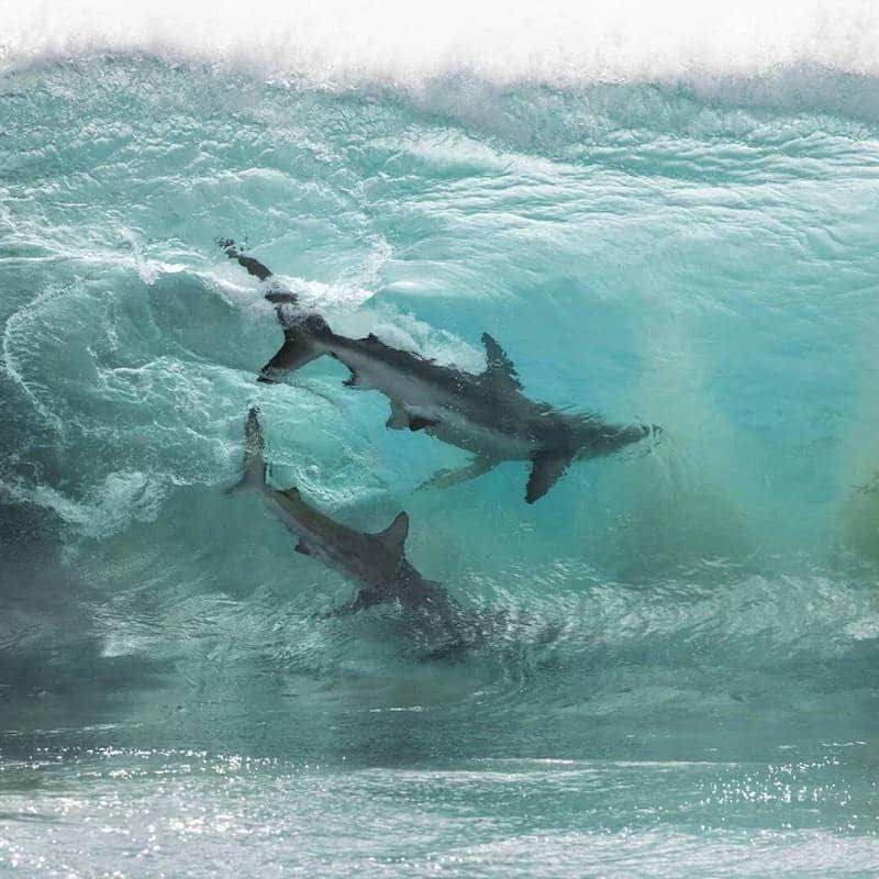 Read more about the article Top 10 Dangerous Beaches in the World That Prove “Beauty Comes With a Price”