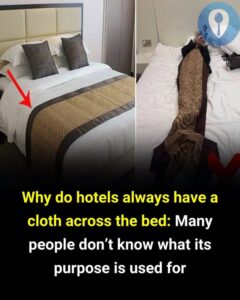 Read more about the article The Reasons Why Hotel Beds Always Have Blankets on Them