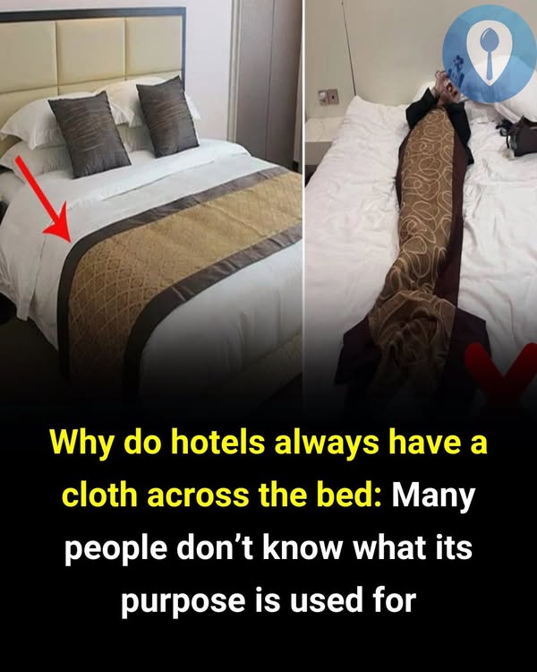 You are currently viewing The Reasons Why Hotel Beds Always Have Blankets on Them