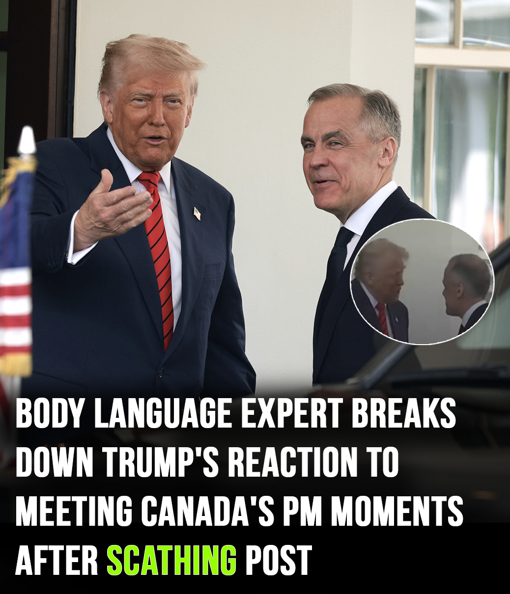 You are currently viewing Body Language Expert Analyzes Tense Meeting Between Trump and Canada’s PM Mark Carney