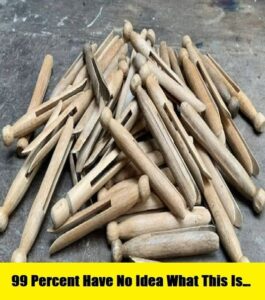 Read more about the article The Sad Tragedy Behind the Evolution of Wooden Clothespins