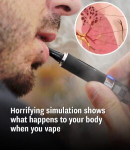 Read more about the article Terrifying New Clip Exposes How Vaping Harms Your Body