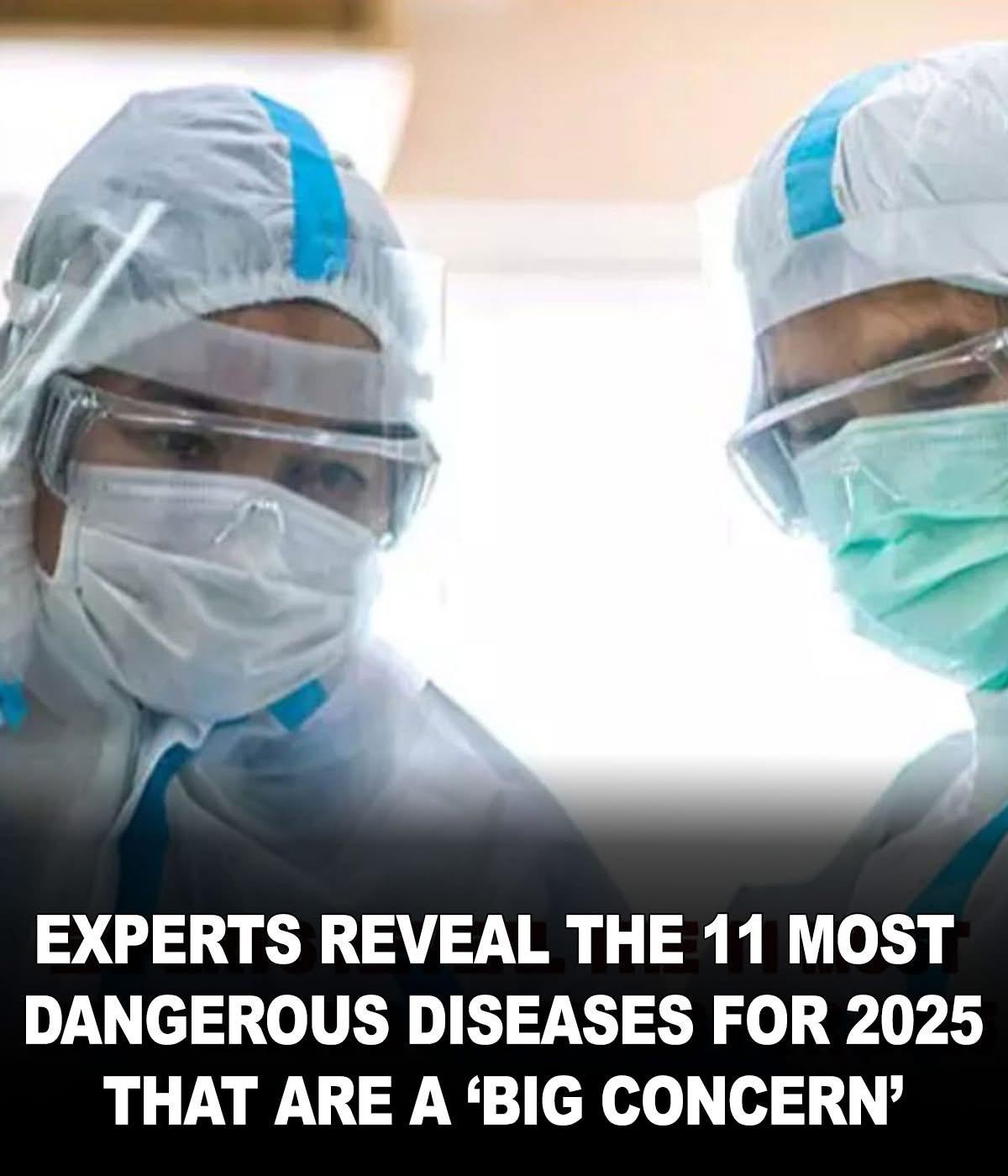 You are currently viewing 11 Diseases That Could Threaten Us in 2025