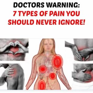 Read more about the article 7 Types of Pain You Should Never Ignore
