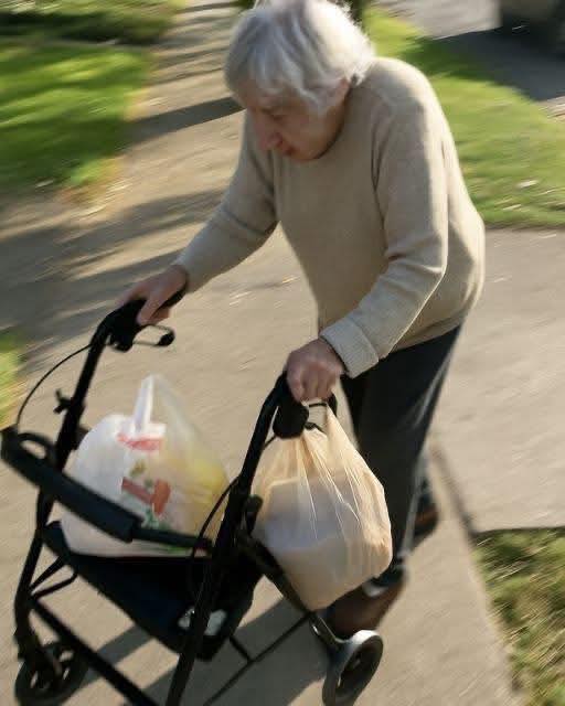 Read more about the article She Used a Rollator to Show Kindness to Her Neighbor