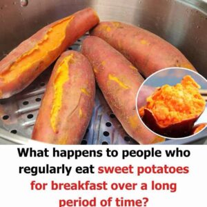 Read more about the article Why You Should Be Adding Sweet Potatoes to Your Diet