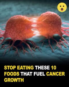 Read more about the article 15 Cancer-Causing Foods You Need to Avoid