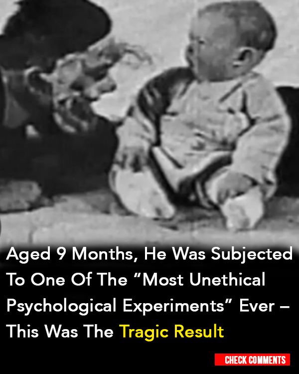 You are currently viewing Title: How the ‘Little Albert’ Psychology Experiment Sparked an Ongoing Debate in Ethics and Treatment