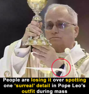 Read more about the article Internet Reacts to Pope’s ‘Surreal’ Outfit Detail: Apple Watch During Holy Mass