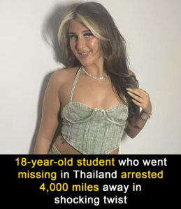 Read more about the article British Teen Who Went Missing in Thailand Found Arrested in Georgia with 14kg of Narcotics: Faces 20 Years in Jail
