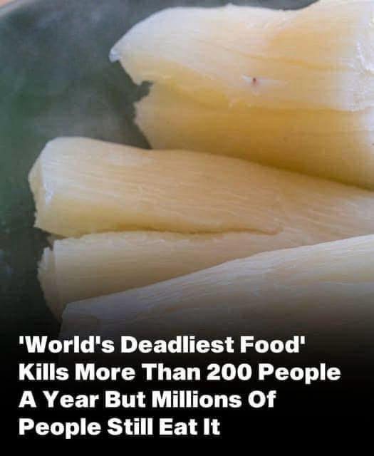Read more about the article The ‘world’s deadliest food’ claims over 200 lives every year, yet nearly 500 million people still eat it