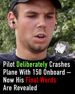 Read more about the article Final Words of Pilot Who Crashed Plane With 150 Onboard Revealed in Chilling Detail