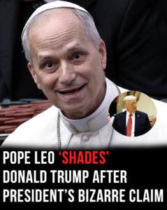 Read more about the article Pope Leo’s Subtle Clapback to Trump Goes Viral — Sparks Debate Over Free Speech, Journalism, and Ego