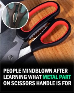 Read more about the article The Hidden Tool in Your Scissors: A Clever Design That Can Save You Time and Money